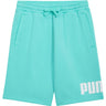 Puma - Mens Essentials Big Logo 10 Shorts