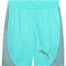 Puma - Mens Tad Tech 8 Knit Shorts
