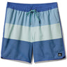 Quiksilver - Mens Surfsilk Tijuana Volley 17 Nb Shorts