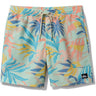 Quiksilver - Mens Everyday Mix Volley 17 Nb Shorts