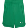 Puma - Mens Rtg Shiny Us Shorts