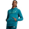 Puma - Mens Nature Blur Logo Fill Hoodie