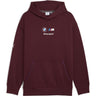 Puma - Mens Bmw Mms Ess+ Fleece Hoodie