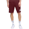 Puma - Mens Essentials Big Logo 10 Shorts