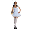 Dreamgirl - Womens Blue Gingham Dress Costume