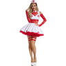 Dreamgirl - Womens Nurse Lacey Costume