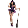 Dreamgirl - Womens Sugar Plum Witch Costume