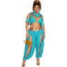 Dreamgirl - Womens Genie Of The Lamp Costume