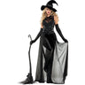 Dreamgirl - Womens Raven Witch Costume