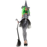 Dreamgirl - Womens Betel Witch Costume