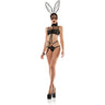 Dreamgirl - Womens Bunny Lace Playsuit With Collared Leash Bedroom Costume