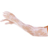 Leg Avenue - Womens Seamless Lace Opera Length Gloves