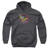 Mighty Mouse - Youth Mighty Circle Pullover Hoodie