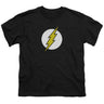 Dc - Big Boys Flash Logo T-Shirt