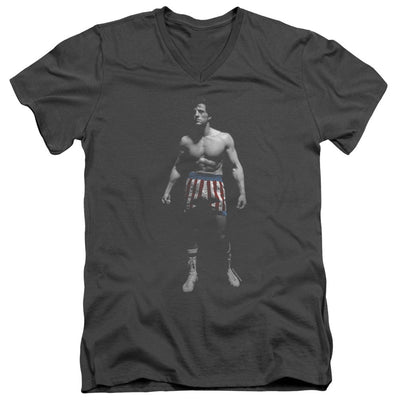 Mens > Tops > T-shirts > V-neck T-shirts