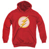 Flash - Youth New Logo Pullover Hoodie