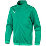 PUMA - Kids Liga Training Jacket Jr