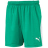 PUMA - Kids Liga Shorts Jr