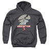 Steven Universe - Youth Dogcopter 3 Pullover Hoodie