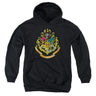 Harry Potter - Youth Hogwarts Crest Pullover Hoodie