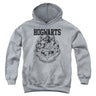 Harry Potter - Youth Hogwarts Athletic Pullover Hoodie