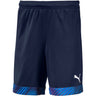 PUMA - Unisex-Child Cup Shorts