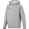 PUMA - Unisex-Child Liga Casuals Hoody